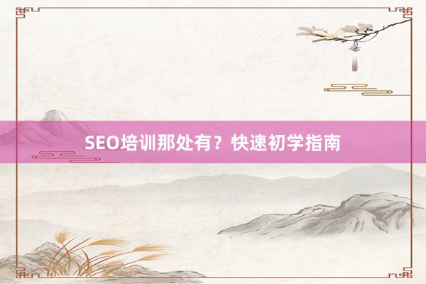 SEO培训那处有？快速初学指南
