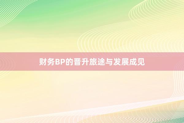 财务BP的晋升旅途与发展成见